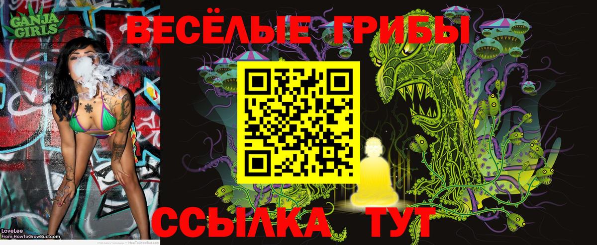 цена   Псилоцибиновые грибы Cubensis  Свободный  Вход с VPN  Псилоцибиновые грибы мухоморы 